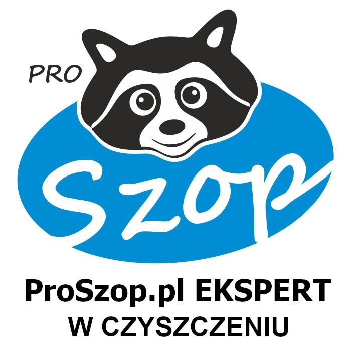ProSzop.pl Ekspert w Czyszczeniu